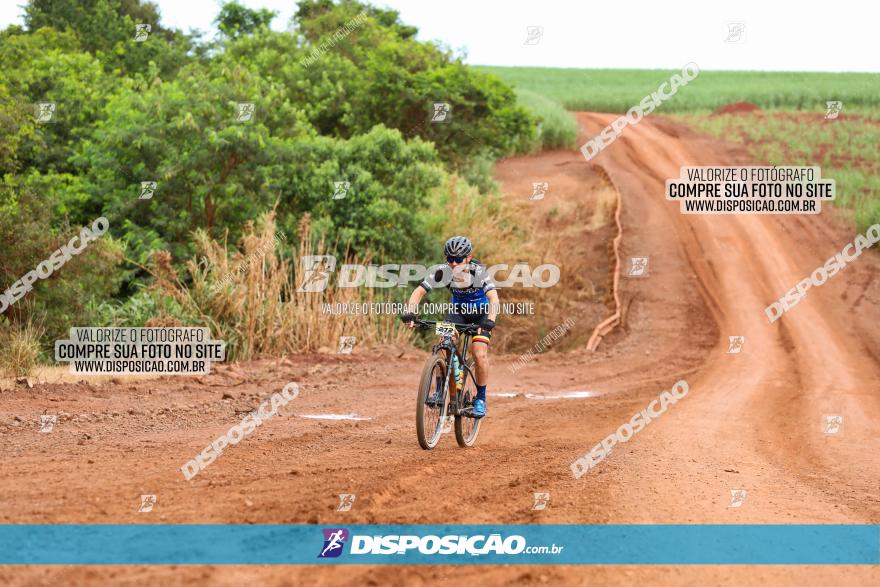 1ª EDIÇÃO DESAFIO ABELHA GRANDE - XCM