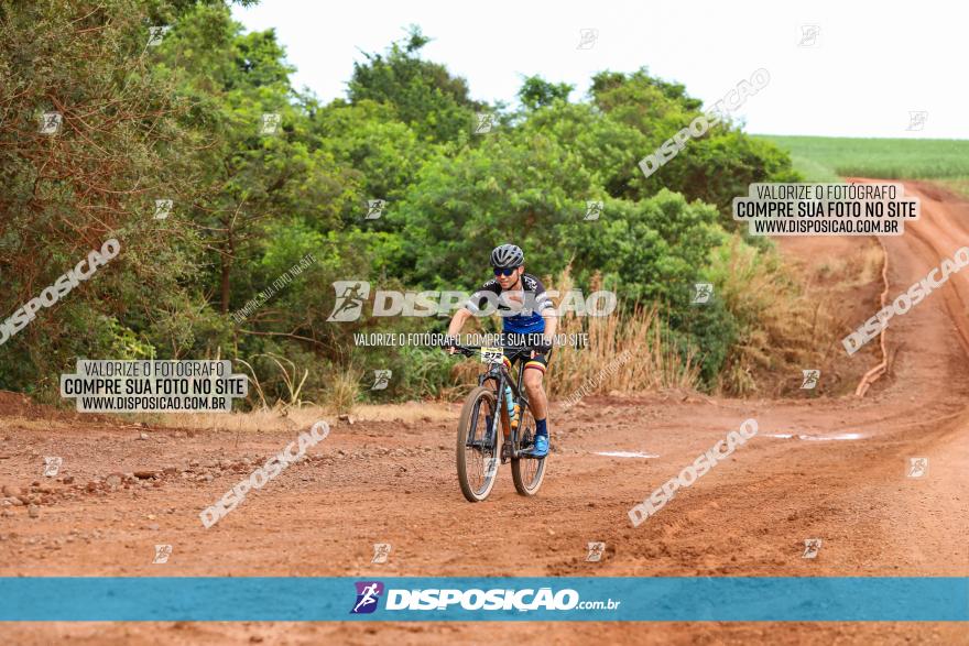 1ª EDIÇÃO DESAFIO ABELHA GRANDE - XCM