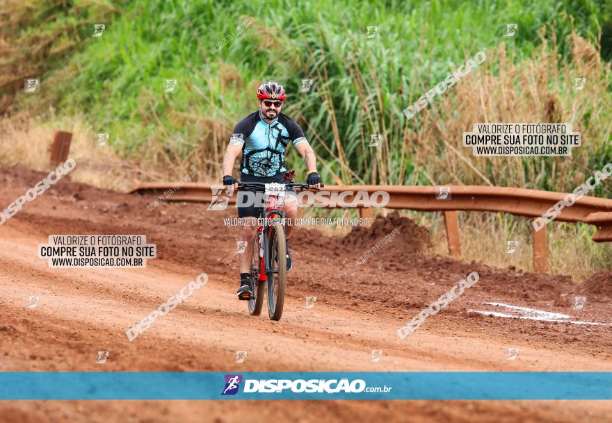 1ª EDIÇÃO DESAFIO ABELHA GRANDE - XCM