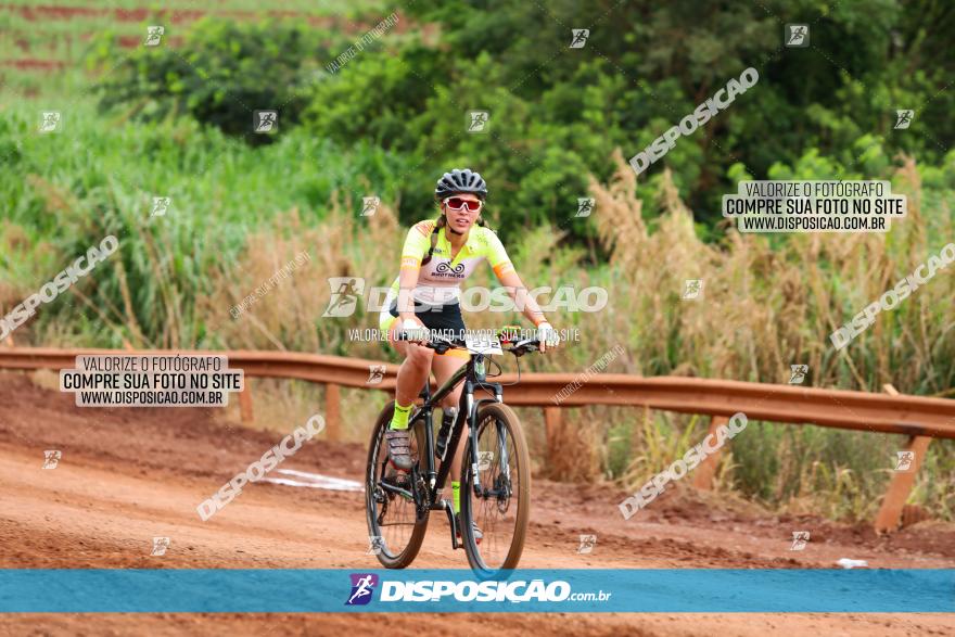 1ª EDIÇÃO DESAFIO ABELHA GRANDE - XCM