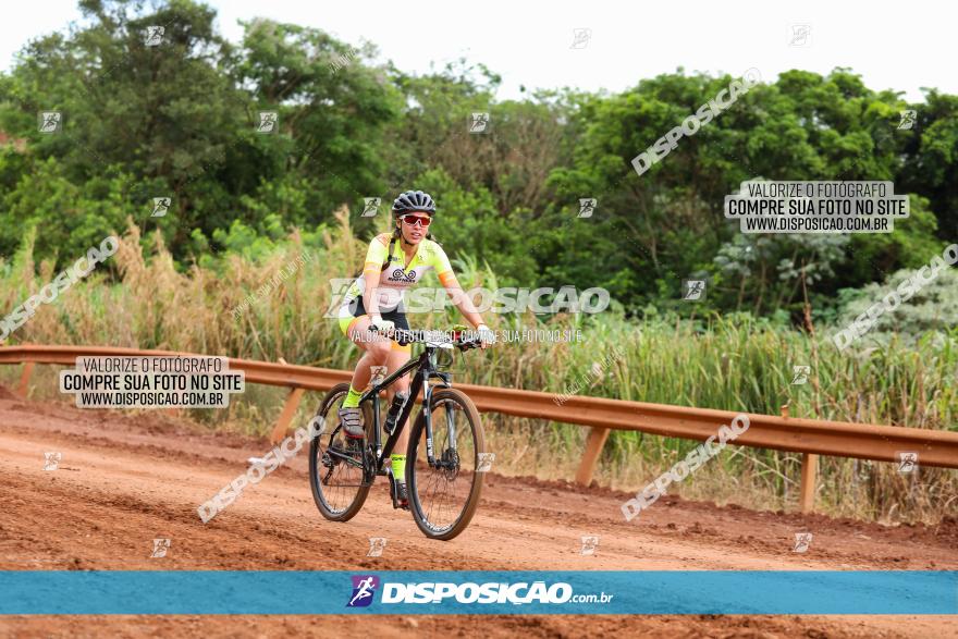 1ª EDIÇÃO DESAFIO ABELHA GRANDE - XCM