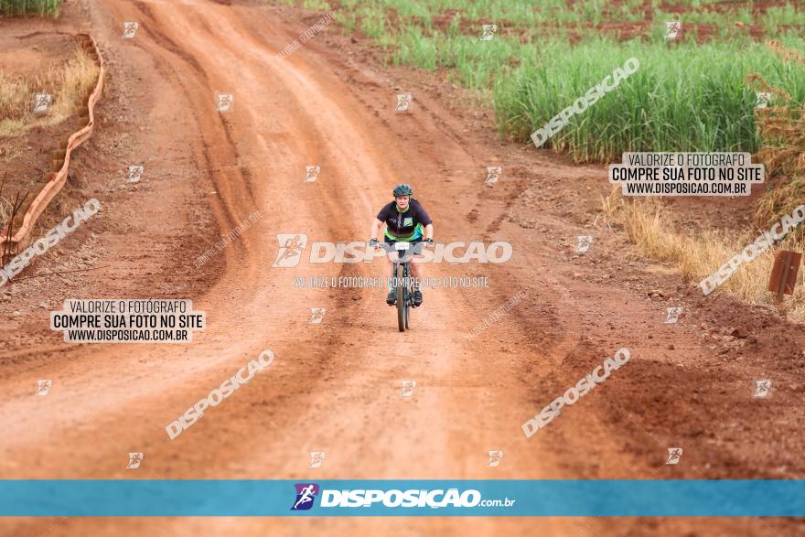 1ª EDIÇÃO DESAFIO ABELHA GRANDE - XCM