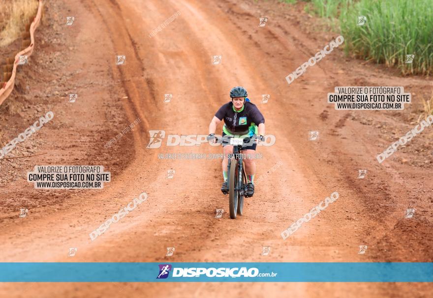 1ª EDIÇÃO DESAFIO ABELHA GRANDE - XCM