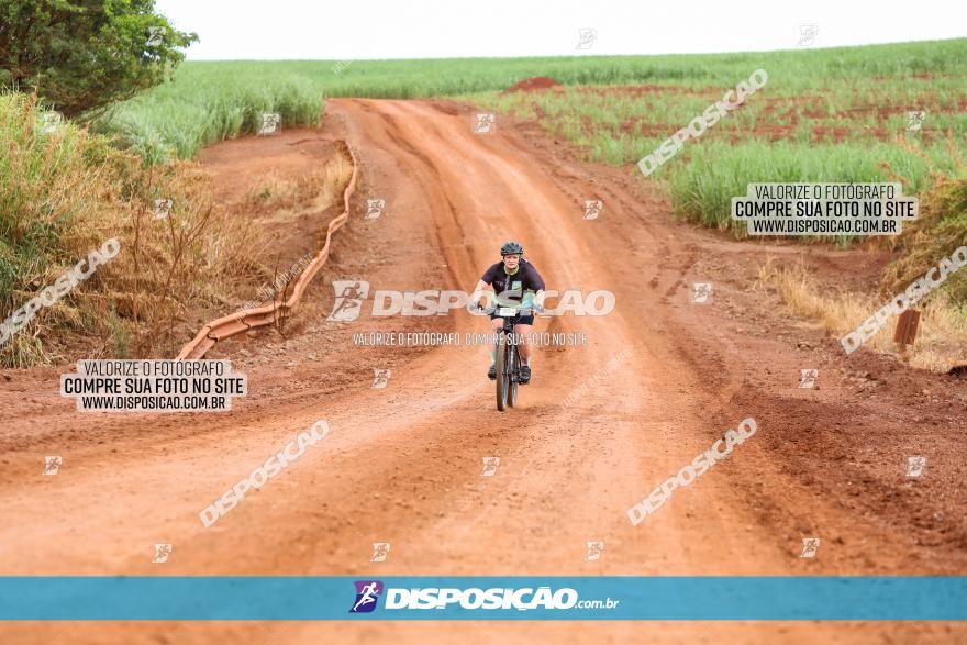 1ª EDIÇÃO DESAFIO ABELHA GRANDE - XCM