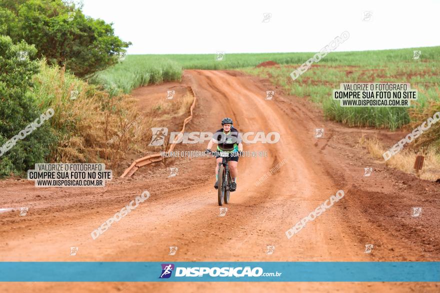 1ª EDIÇÃO DESAFIO ABELHA GRANDE - XCM