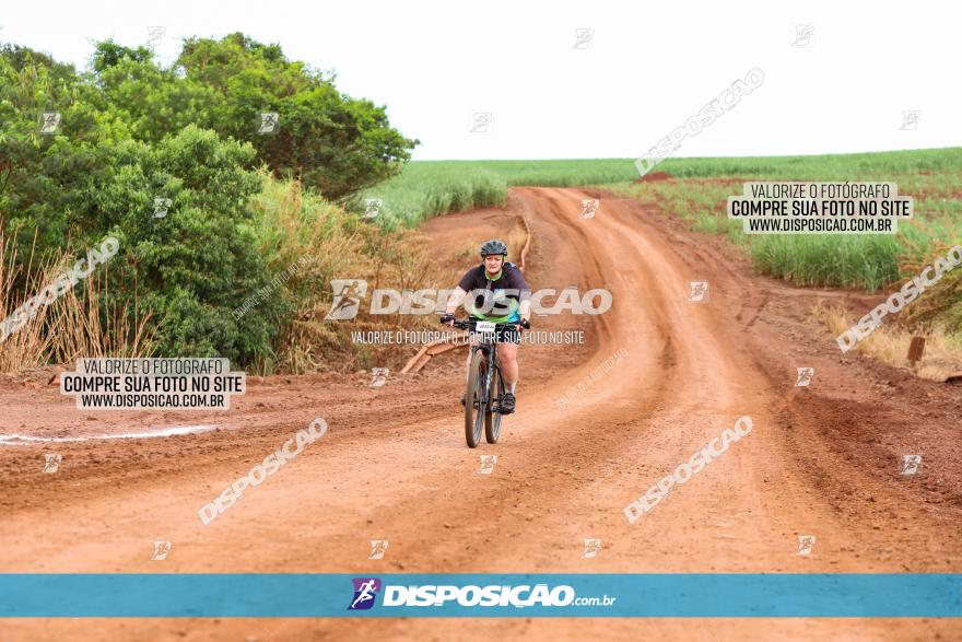 1ª EDIÇÃO DESAFIO ABELHA GRANDE - XCM