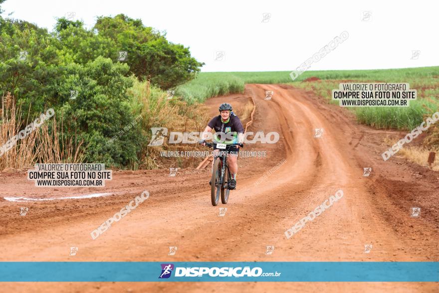 1ª EDIÇÃO DESAFIO ABELHA GRANDE - XCM