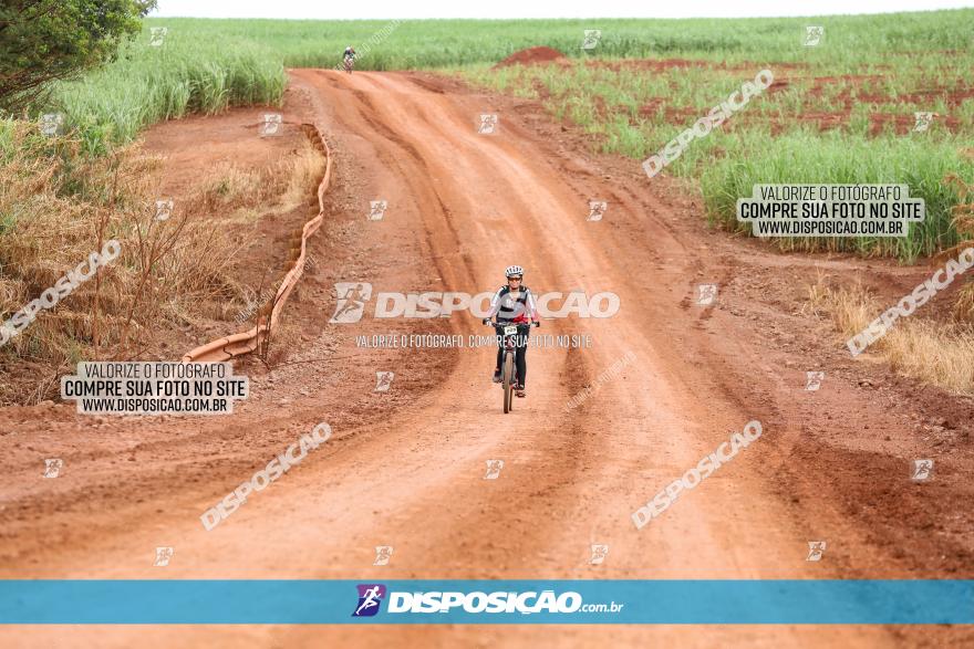 1ª EDIÇÃO DESAFIO ABELHA GRANDE - XCM