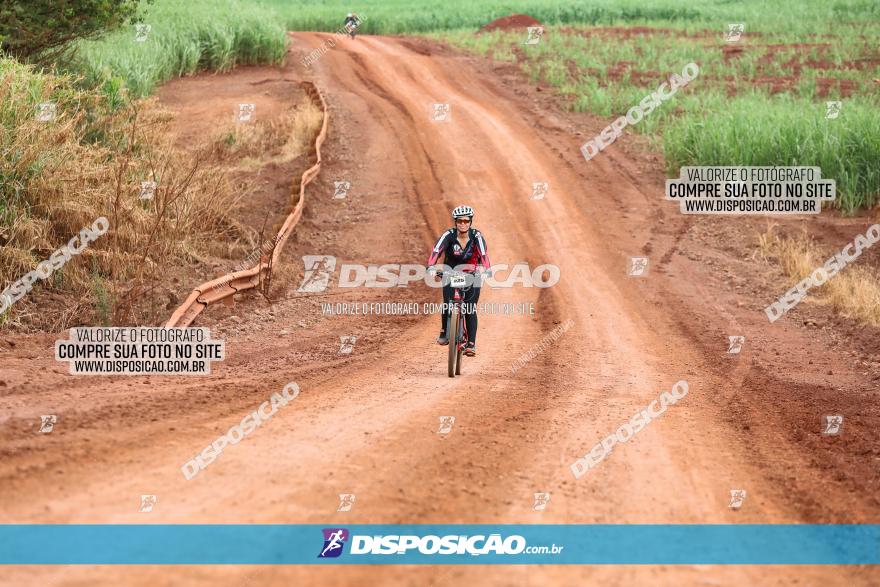 1ª EDIÇÃO DESAFIO ABELHA GRANDE - XCM