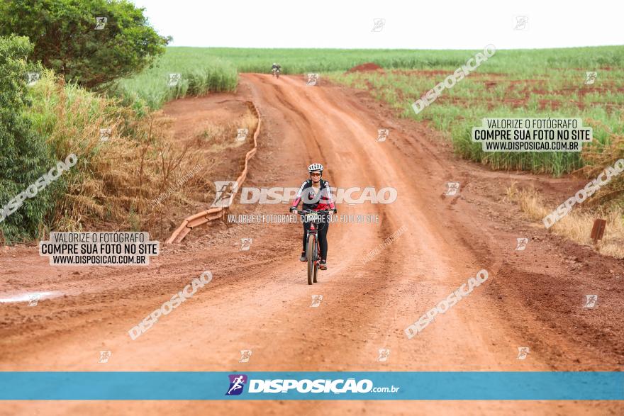 1ª EDIÇÃO DESAFIO ABELHA GRANDE - XCM