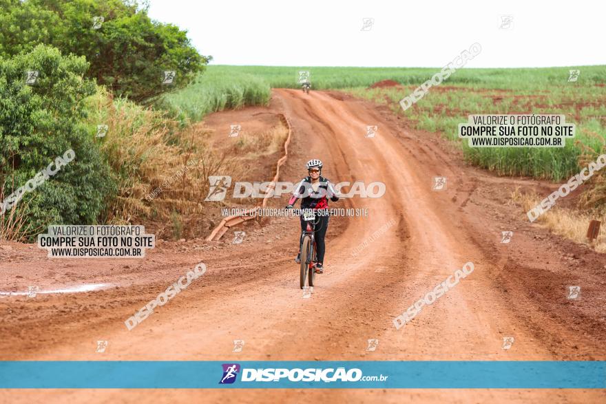 1ª EDIÇÃO DESAFIO ABELHA GRANDE - XCM