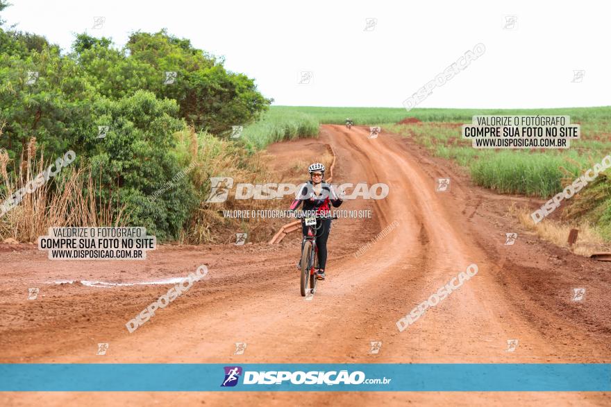 1ª EDIÇÃO DESAFIO ABELHA GRANDE - XCM