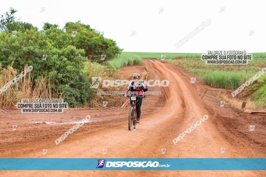 1ª EDIÇÃO DESAFIO ABELHA GRANDE - XCM