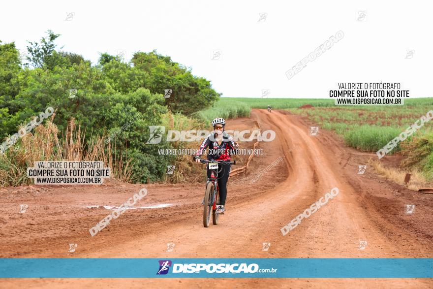 1ª EDIÇÃO DESAFIO ABELHA GRANDE - XCM