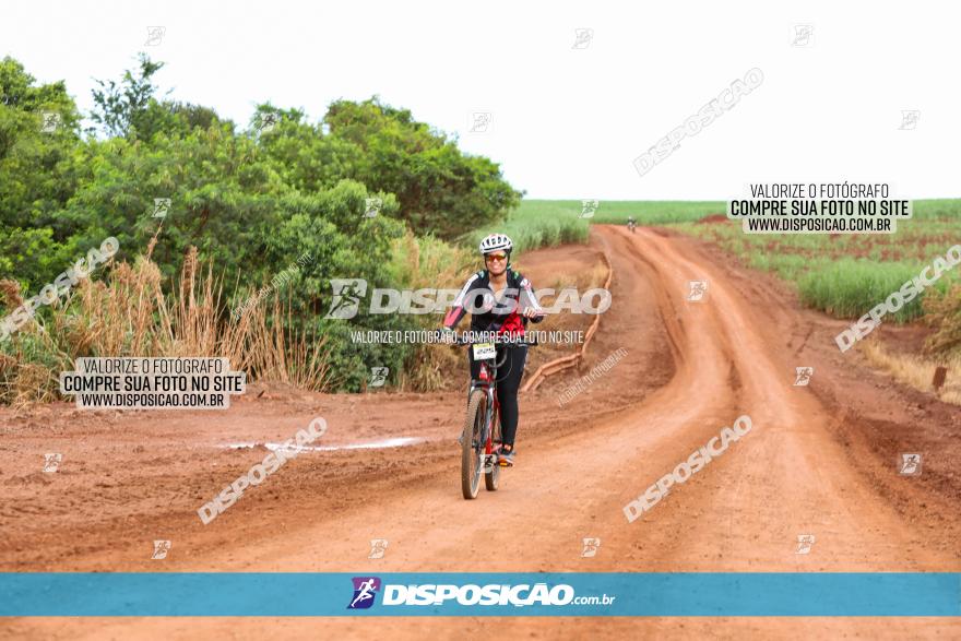 1ª EDIÇÃO DESAFIO ABELHA GRANDE - XCM