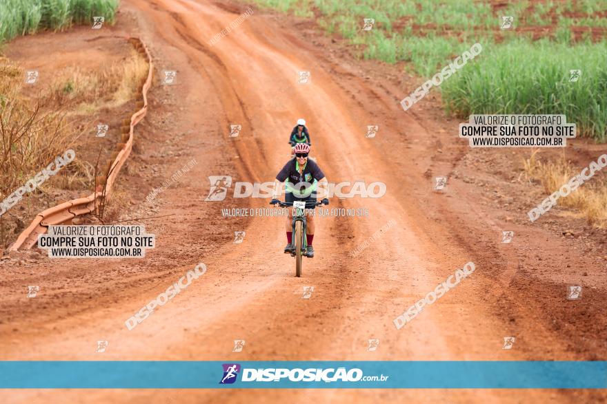 1ª EDIÇÃO DESAFIO ABELHA GRANDE - XCM