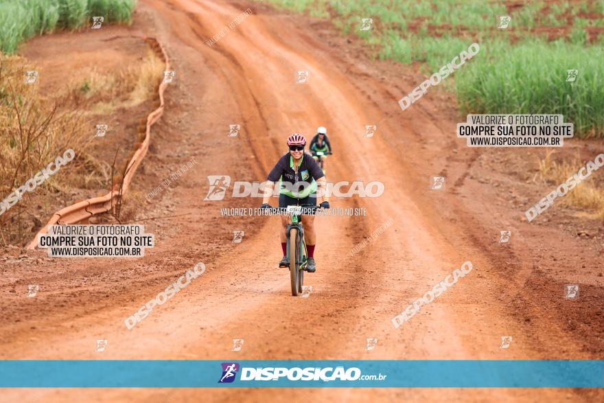 1ª EDIÇÃO DESAFIO ABELHA GRANDE - XCM