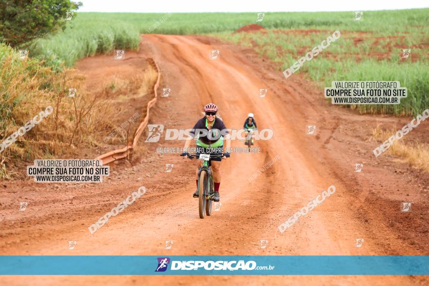 1ª EDIÇÃO DESAFIO ABELHA GRANDE - XCM