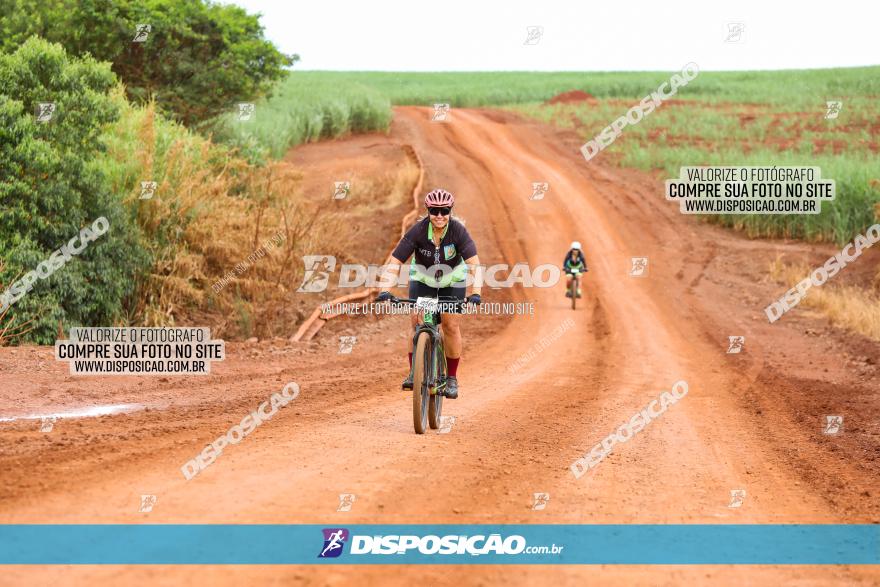 1ª EDIÇÃO DESAFIO ABELHA GRANDE - XCM