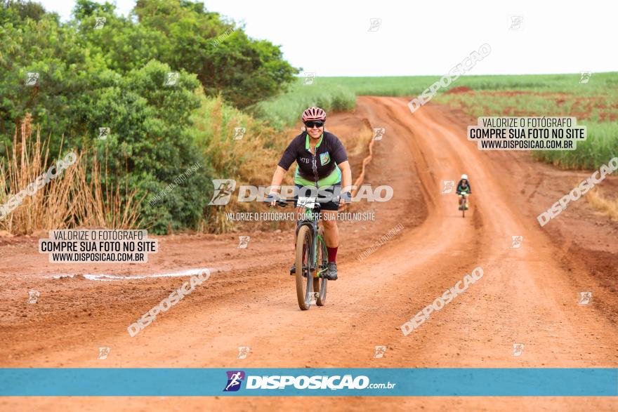 1ª EDIÇÃO DESAFIO ABELHA GRANDE - XCM