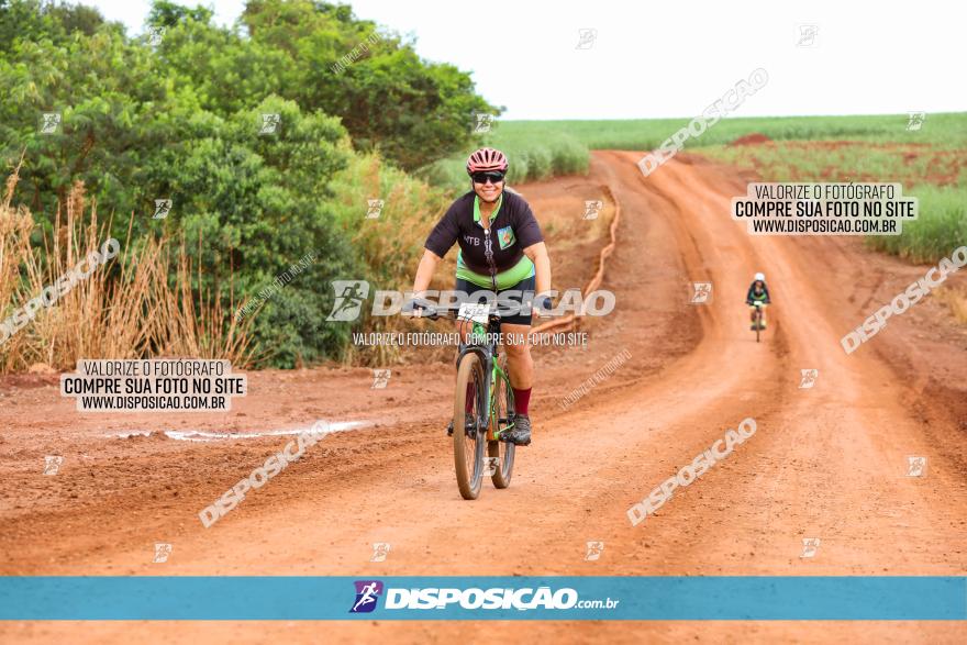 1ª EDIÇÃO DESAFIO ABELHA GRANDE - XCM