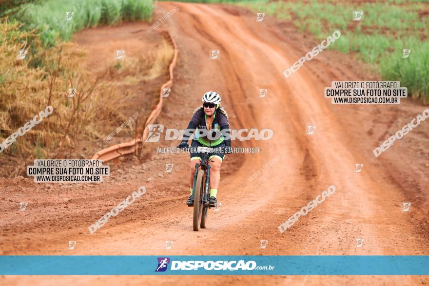 1ª EDIÇÃO DESAFIO ABELHA GRANDE - XCM