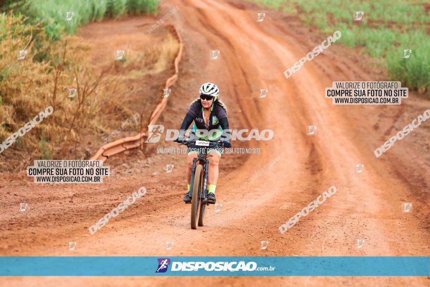 1ª EDIÇÃO DESAFIO ABELHA GRANDE - XCM