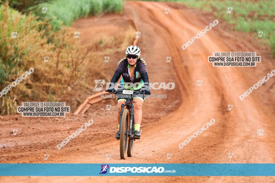 1ª EDIÇÃO DESAFIO ABELHA GRANDE - XCM