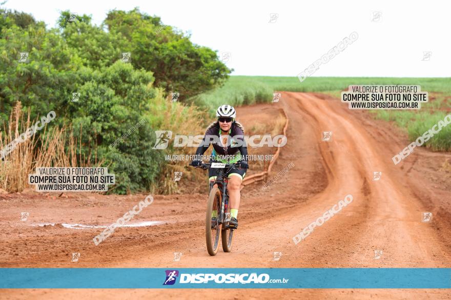 1ª EDIÇÃO DESAFIO ABELHA GRANDE - XCM