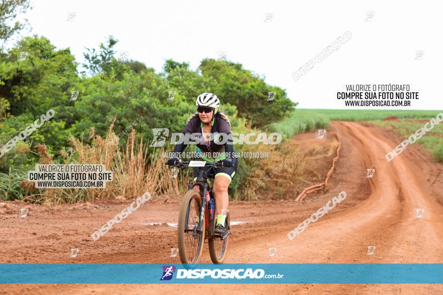 1ª EDIÇÃO DESAFIO ABELHA GRANDE - XCM