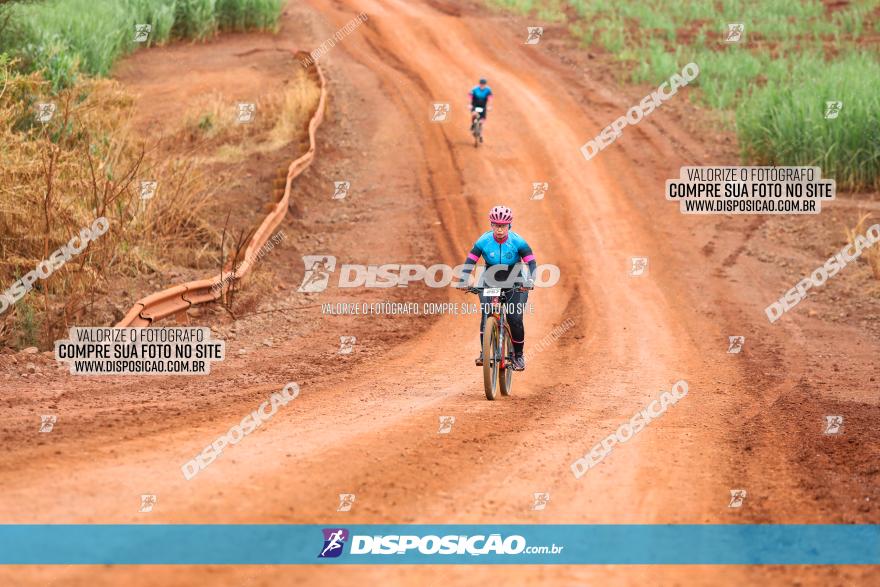 1ª EDIÇÃO DESAFIO ABELHA GRANDE - XCM