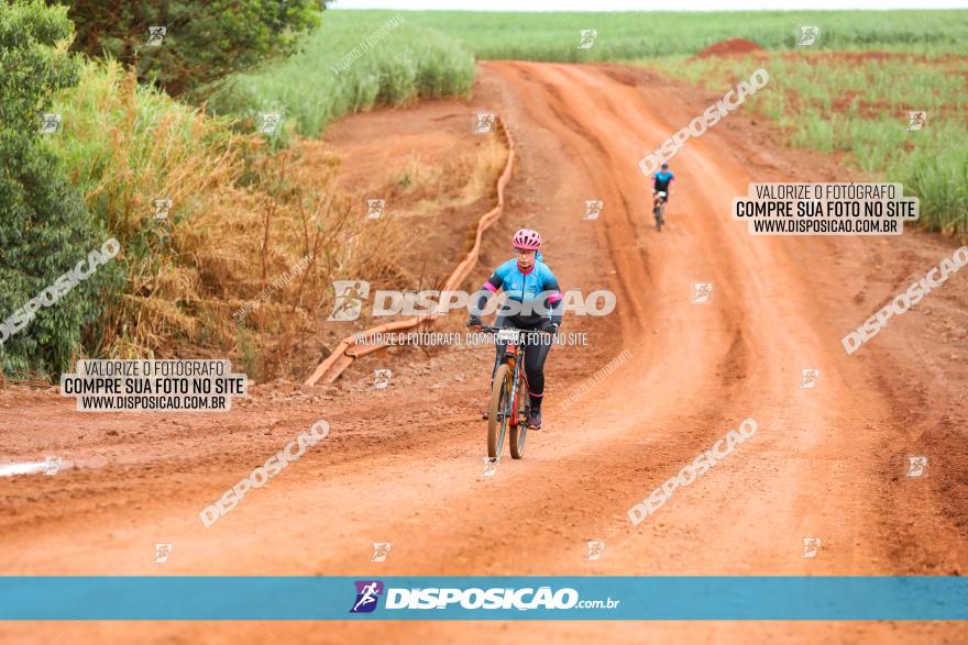 1ª EDIÇÃO DESAFIO ABELHA GRANDE - XCM