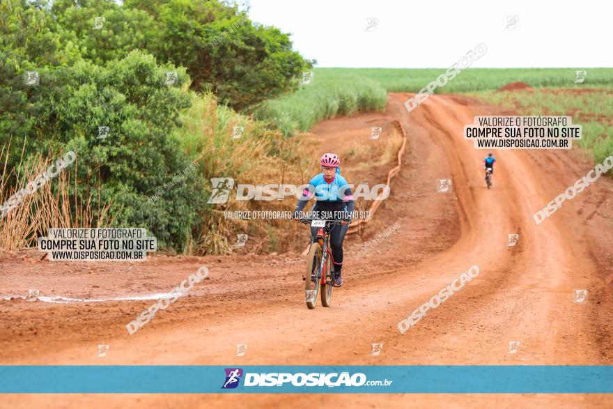 1ª EDIÇÃO DESAFIO ABELHA GRANDE - XCM