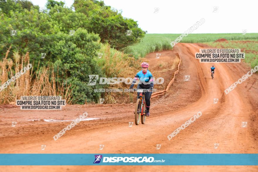 1ª EDIÇÃO DESAFIO ABELHA GRANDE - XCM