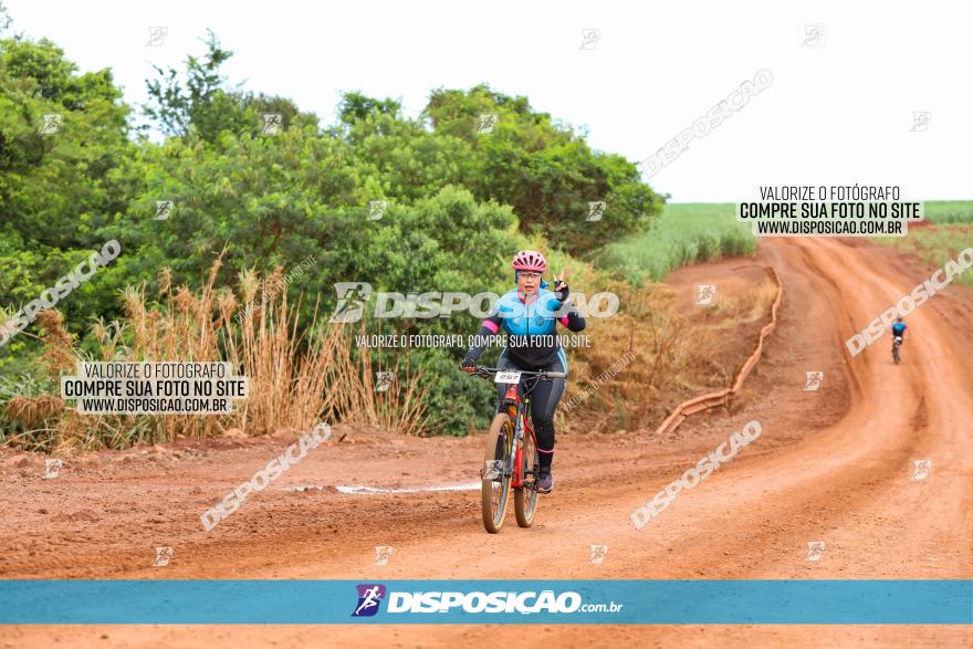 1ª EDIÇÃO DESAFIO ABELHA GRANDE - XCM