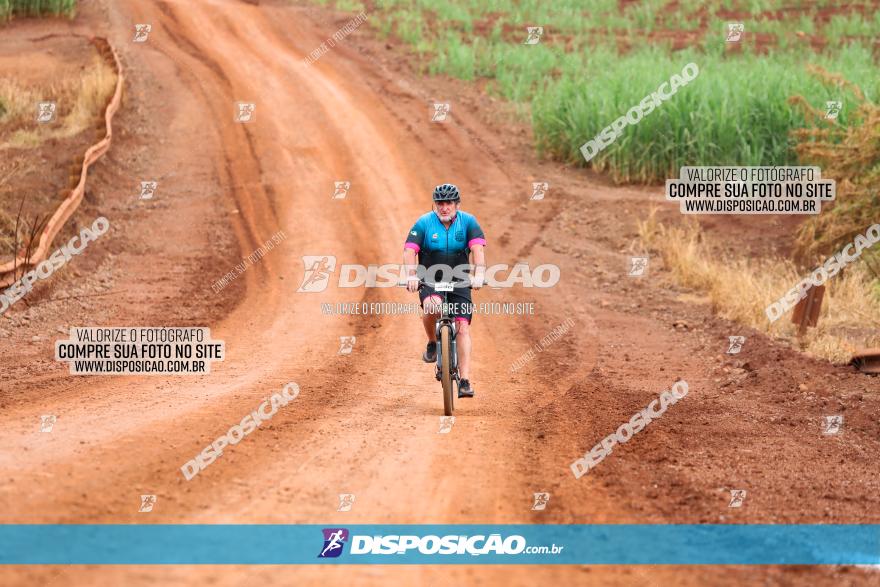 1ª EDIÇÃO DESAFIO ABELHA GRANDE - XCM