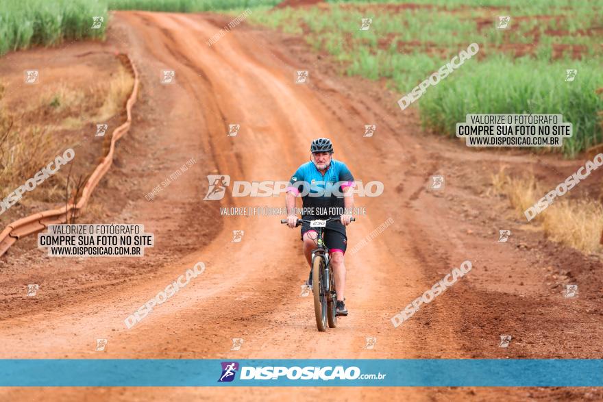 1ª EDIÇÃO DESAFIO ABELHA GRANDE - XCM