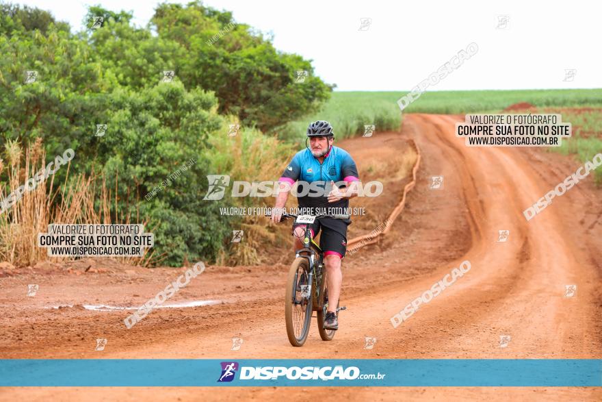 1ª EDIÇÃO DESAFIO ABELHA GRANDE - XCM