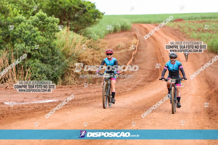 1ª EDIÇÃO DESAFIO ABELHA GRANDE - XCM