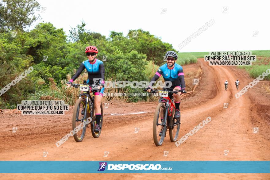 1ª EDIÇÃO DESAFIO ABELHA GRANDE - XCM