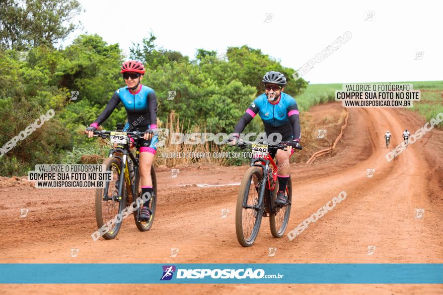 1ª EDIÇÃO DESAFIO ABELHA GRANDE - XCM