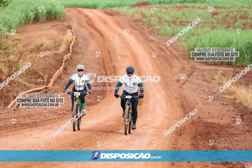 1ª EDIÇÃO DESAFIO ABELHA GRANDE - XCM