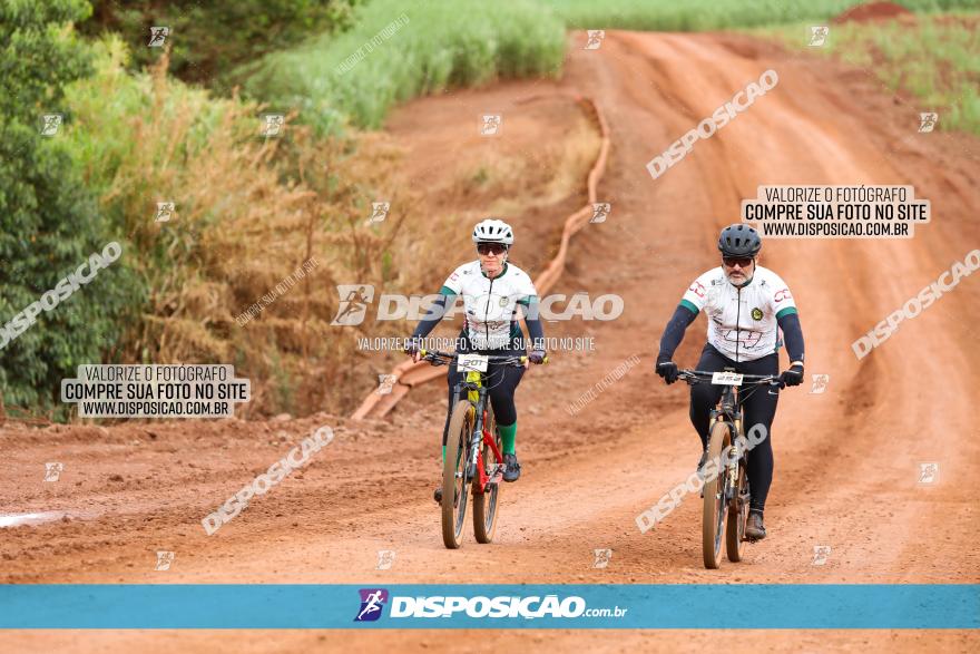 1ª EDIÇÃO DESAFIO ABELHA GRANDE - XCM