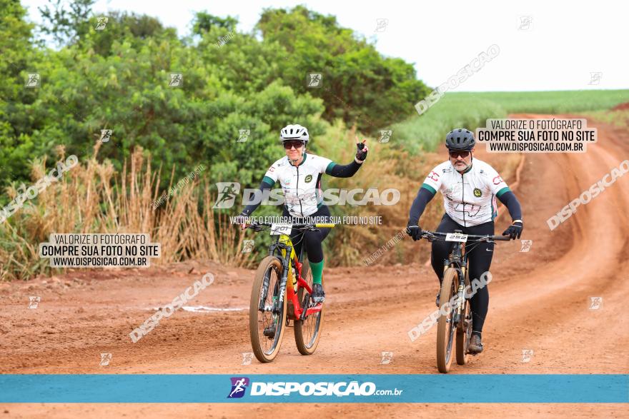 1ª EDIÇÃO DESAFIO ABELHA GRANDE - XCM