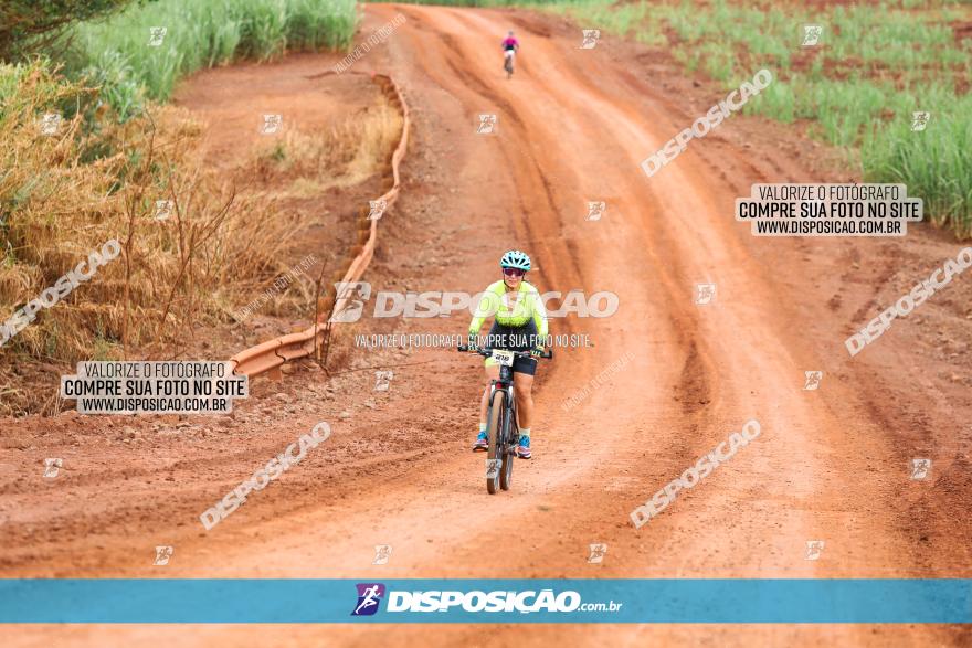 1ª EDIÇÃO DESAFIO ABELHA GRANDE - XCM