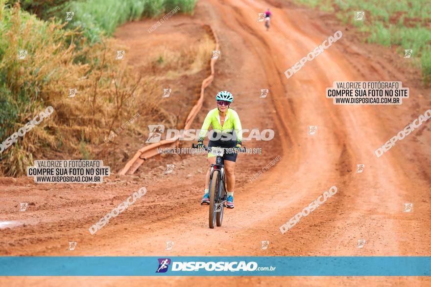 1ª EDIÇÃO DESAFIO ABELHA GRANDE - XCM