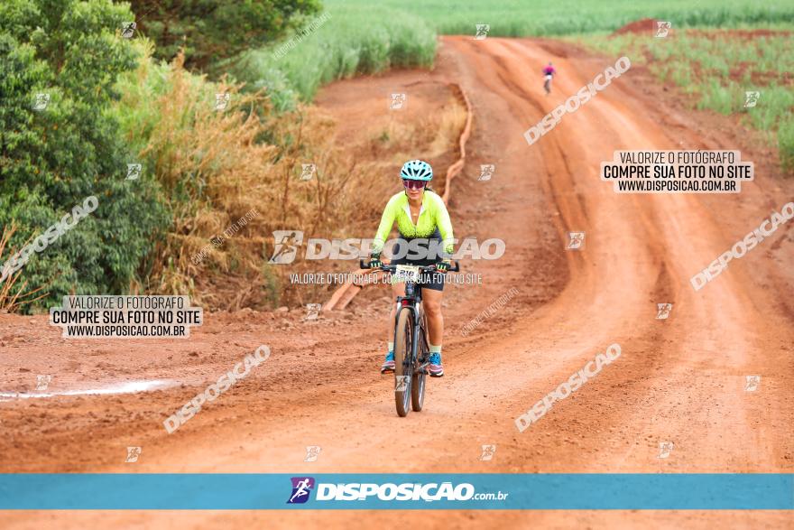 1ª EDIÇÃO DESAFIO ABELHA GRANDE - XCM