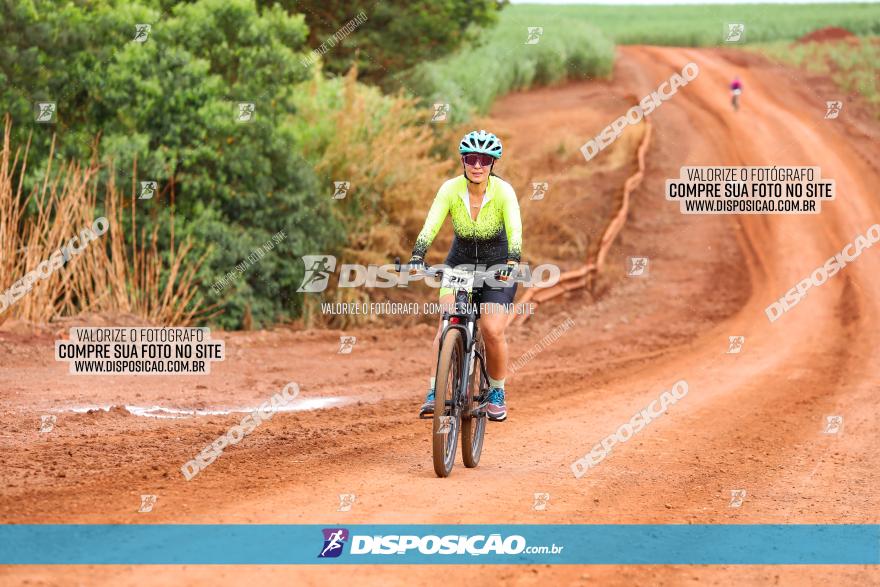 1ª EDIÇÃO DESAFIO ABELHA GRANDE - XCM