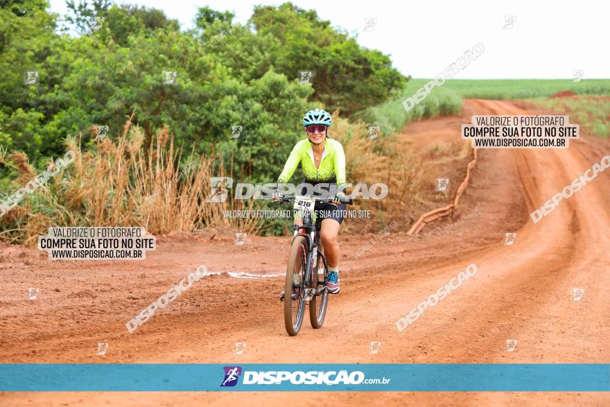 1ª EDIÇÃO DESAFIO ABELHA GRANDE - XCM