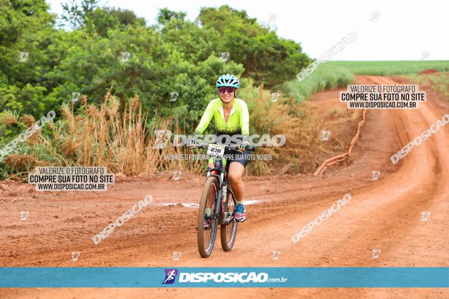 1ª EDIÇÃO DESAFIO ABELHA GRANDE - XCM